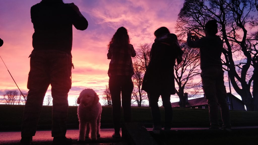 A picture of Lighthouse Studios' crew taking photos of a sunset.